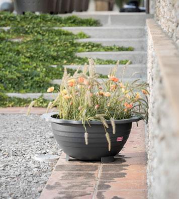 foto001-novatilu-afamour