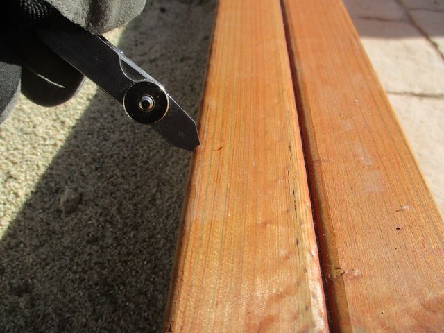 foto003-zorde-afamour